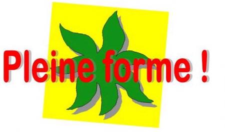 EN PLEINE FORME � l'approche de NOEL